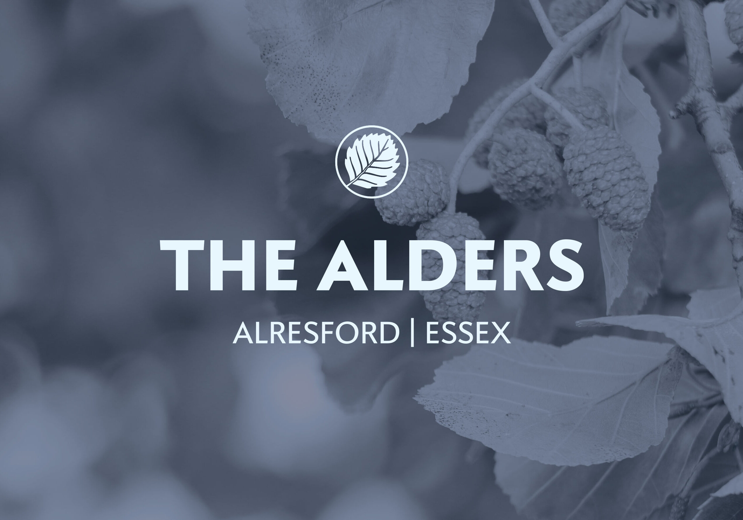 The Alders